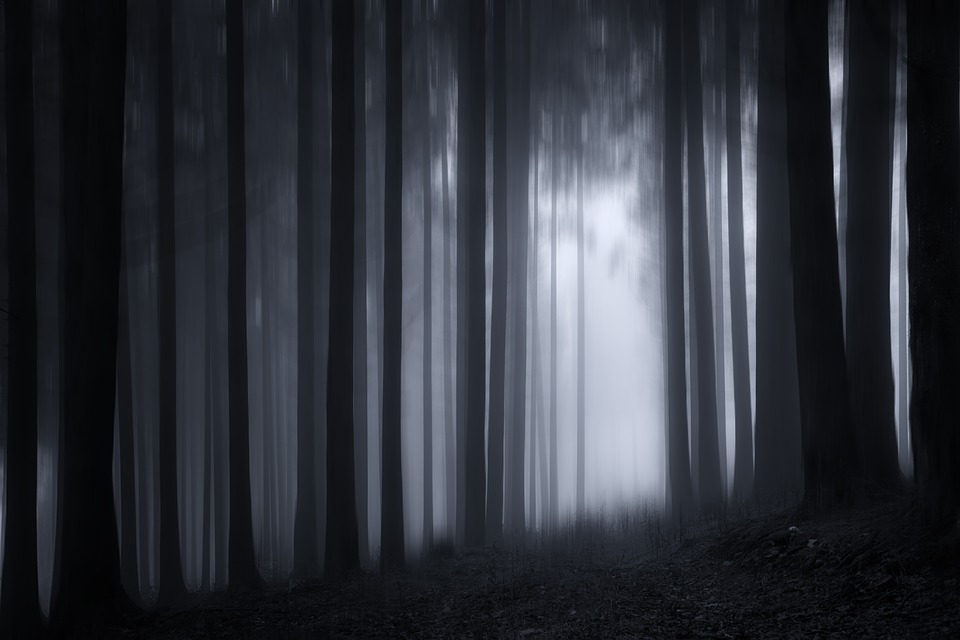 luces sombras luces sombras