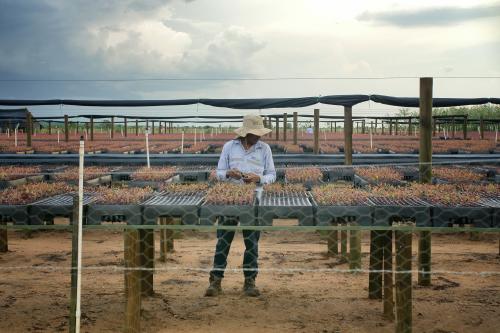 Proyecto de ClimateTrade Proyecto de ClimateTrade