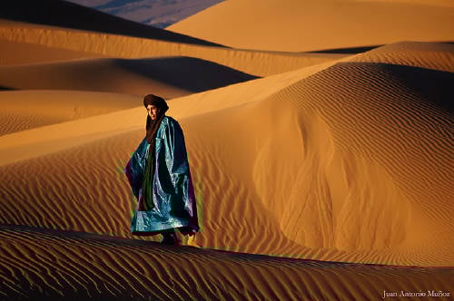 DSC03572A W DSC03572A W