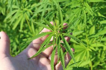 Marihuana Marihuana