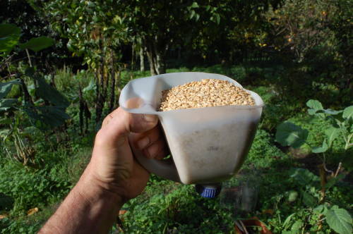 Inversiones ESG.jpg Inversiones ESG.jpg