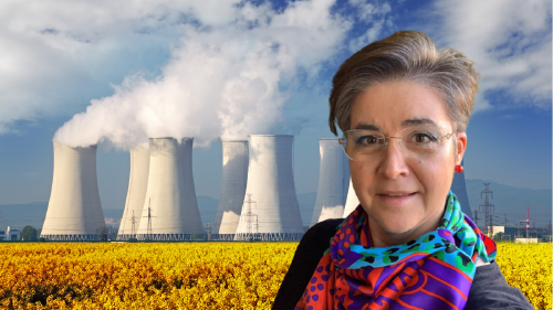 Nuria Rabanal, directora de la Cátedra de Seguridad y Defensa de la Universidad de León. Nuria Rabanal, directora de la Cátedra de Seguridad y Defensa de la Universidad de León.