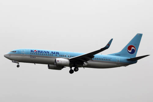 HL8241_ _Korean_Air_Lines_ _Boeing_737 8BK(WL)_ _TAO_(13950726091) HL8241_ _Korean_Air_Lines_ _Boeing_737 8BK(WL)_ _TAO_(13950726091)