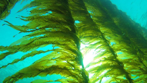 Diseño sin título 2023 02 03T115428.944 Diseño sin título 2023 02 03T115428.944