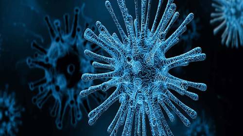 imagen_virus imagen_virus