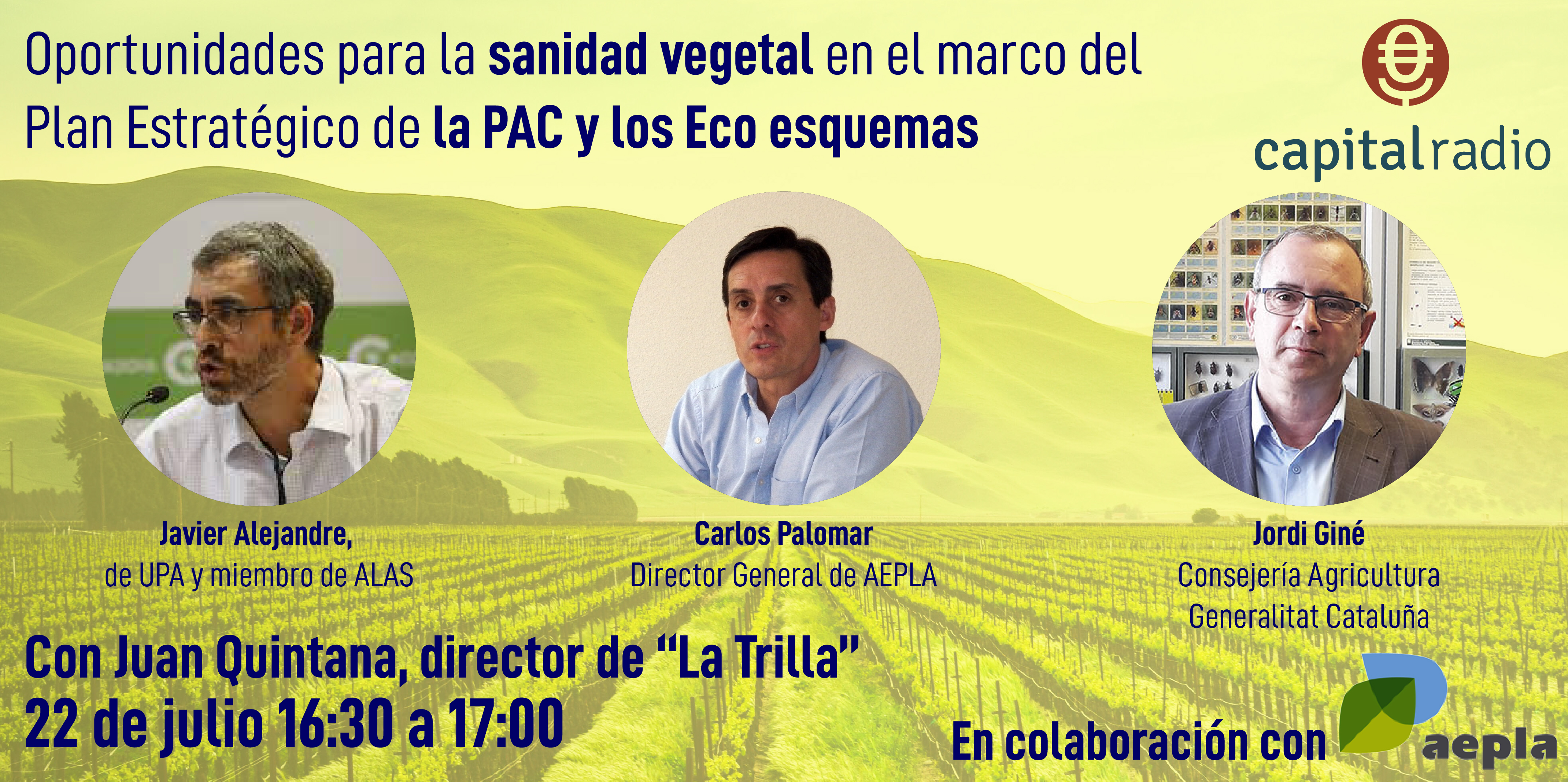 WEBINAR AEPLA WEB 01 WEBINAR AEPLA WEB 01