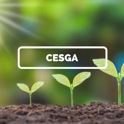 CESGA_ESCUELA FEF CESGA_ESCUELA FEF