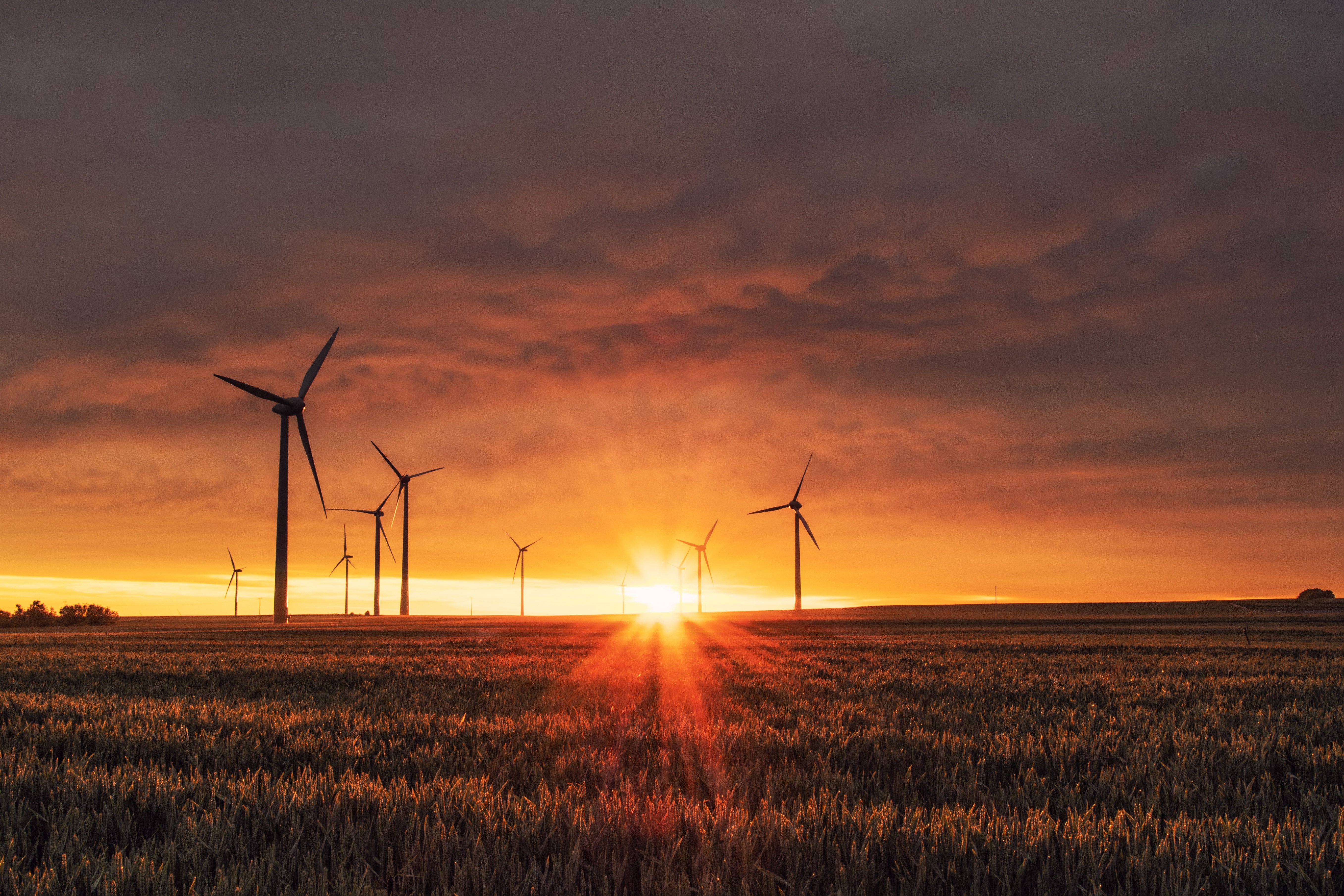 Turbina eólica Photo by Karsten Würth on Unsplash