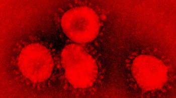 coronavirus 1580229274318