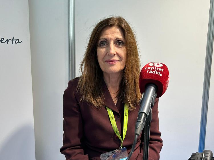 Belén Rebollo, subdirectora general de Políticas Activas de Empleo del SEPE. Belén Rebollo, subdirectora general de Políticas Activas de Empleo del SEPE.