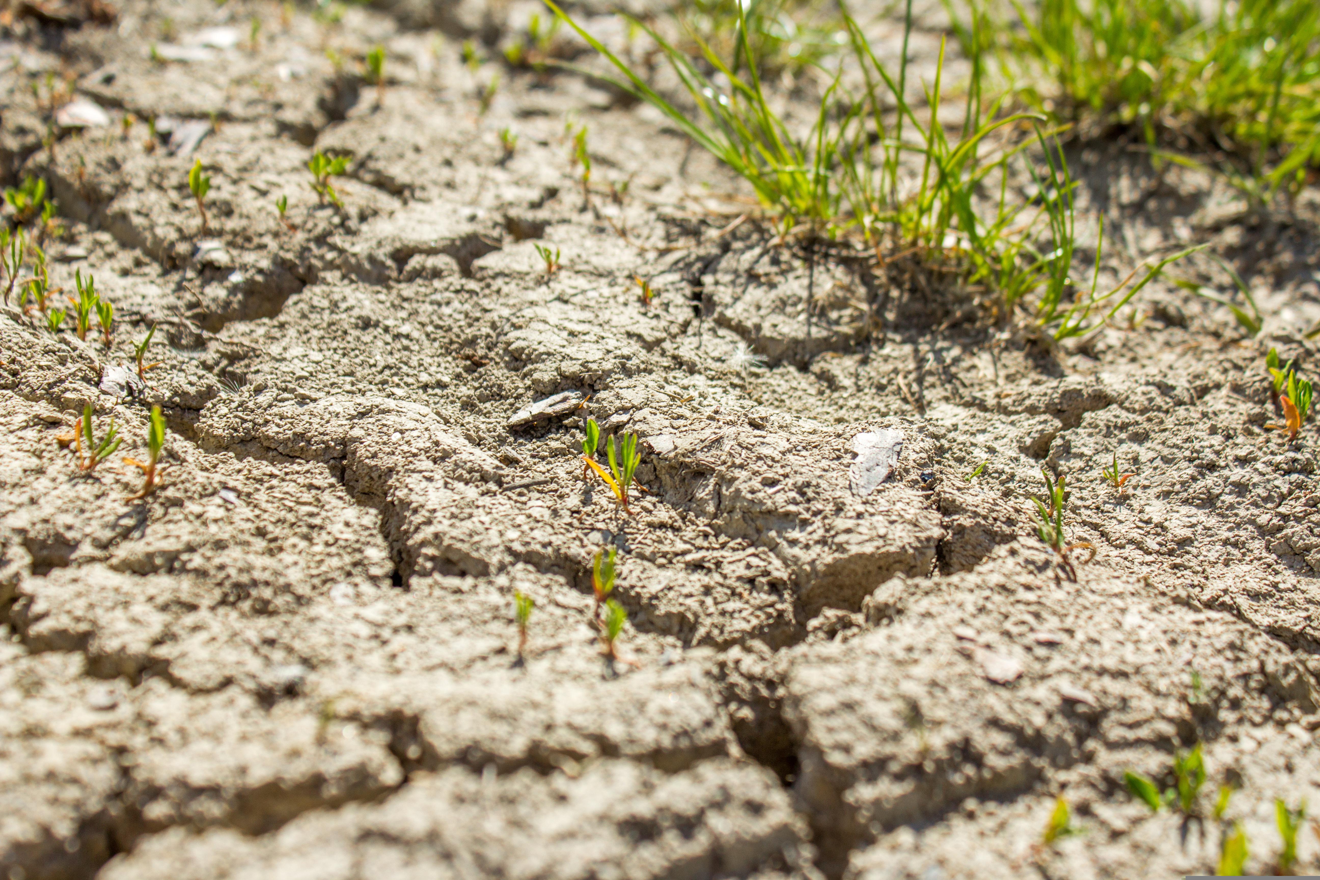 frolicsomepl drought 5522623