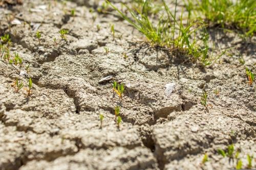 frolicsomepl drought 5522623 frolicsomepl drought 5522623