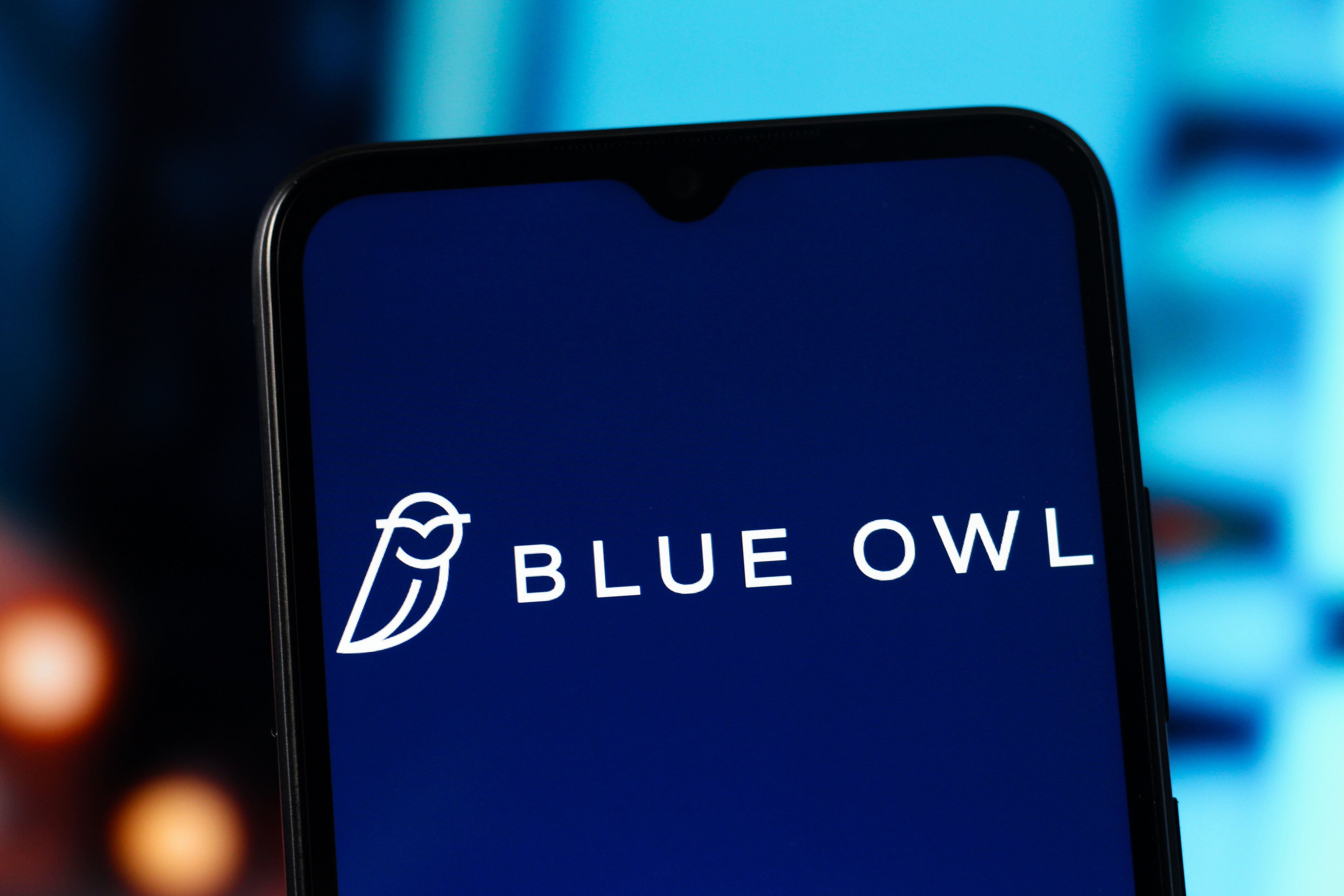 Logo de Blue Owl 