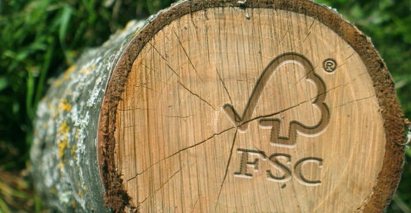 certificacao florestal 810x420 1