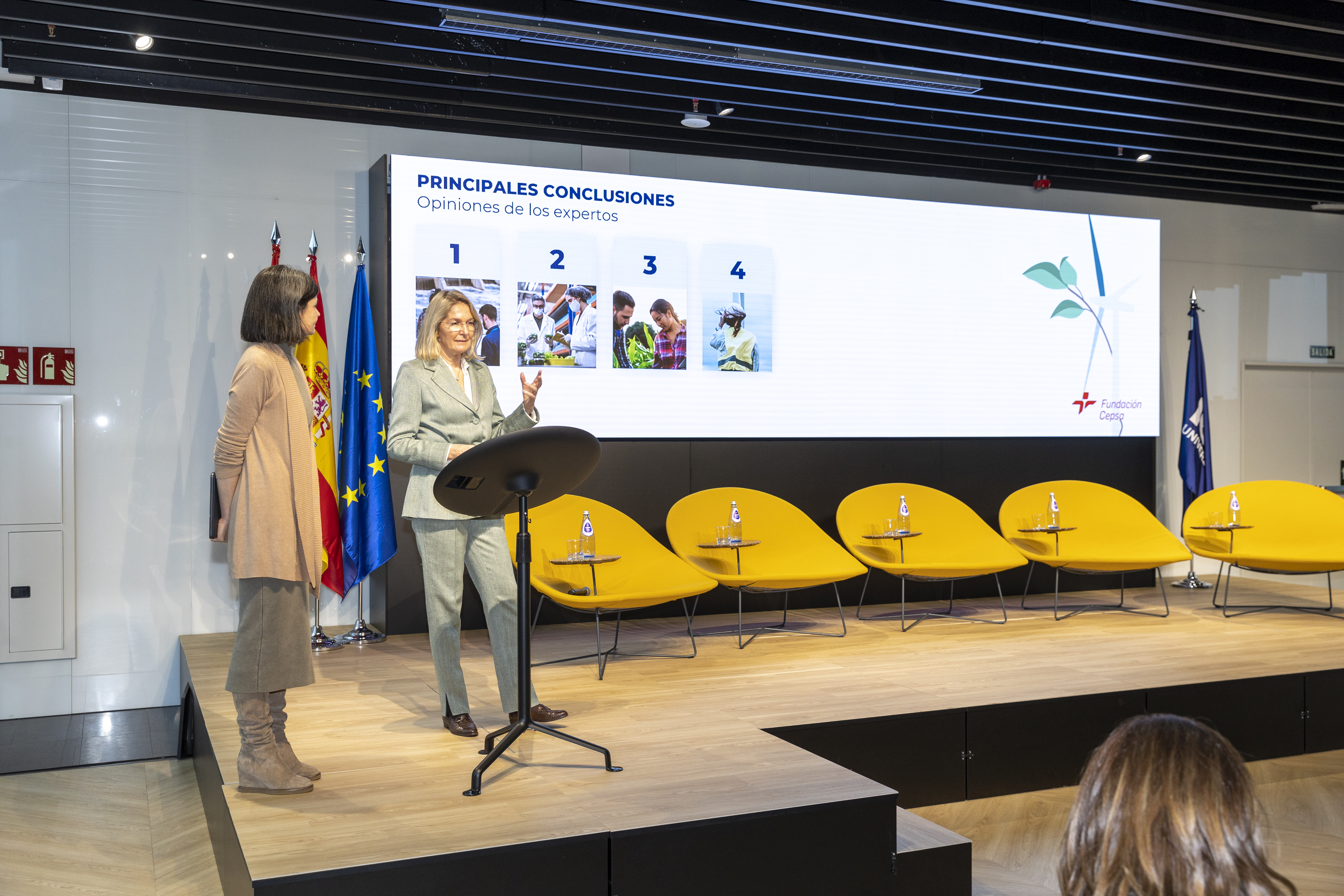 multimedia_en_borrador_1113_jpg_0 multimedia_en_borrador_1113_jpg_0