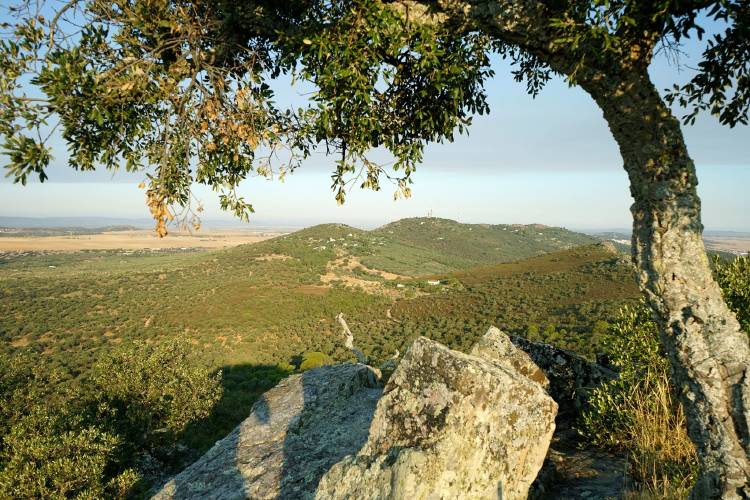 Sierra de la Mosca, Extremadura