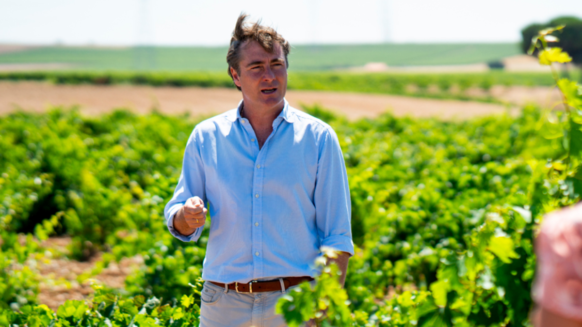 Luis Hurtado de Am&eacute;zaga, director t&eacute;cnico de Bodegas Herederos del Marqu&eacute;s de Riscal.