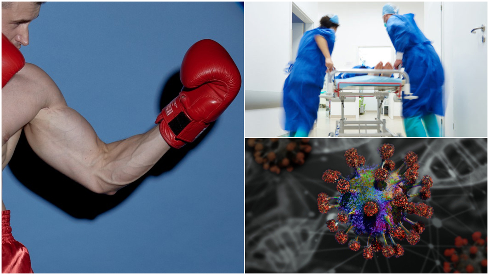 coronavirus coronavirus