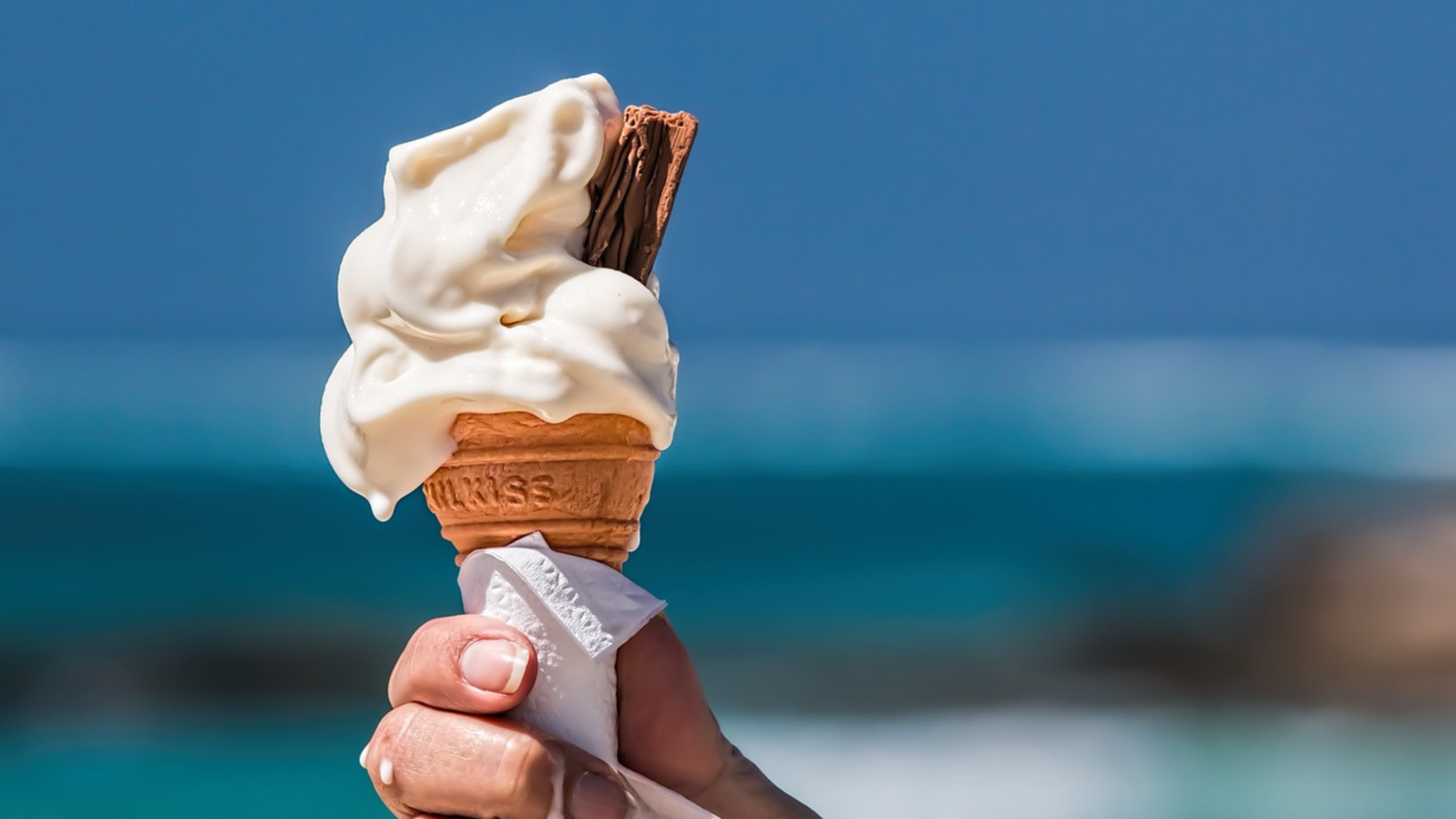 Diseño sin título 2023 08 11T102252.285 Diseño sin título 2023 08 11T102252.285