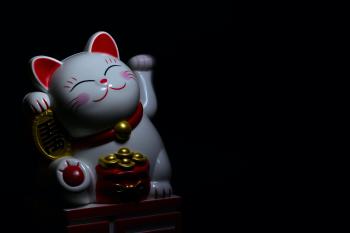 japon japon