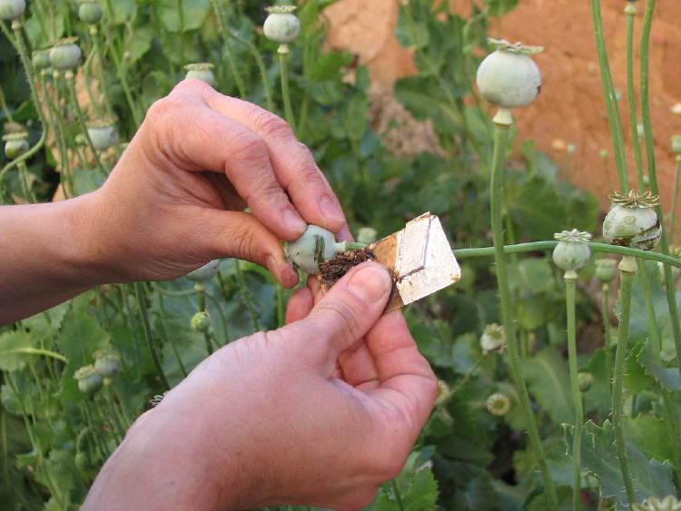 4789354815_de500c1a68_b 4789354815_de500c1a68_b