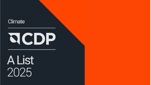 Tamaño foto web 2025 12 19T123106.365 Tamaño foto web 2025 12 19T123106.365