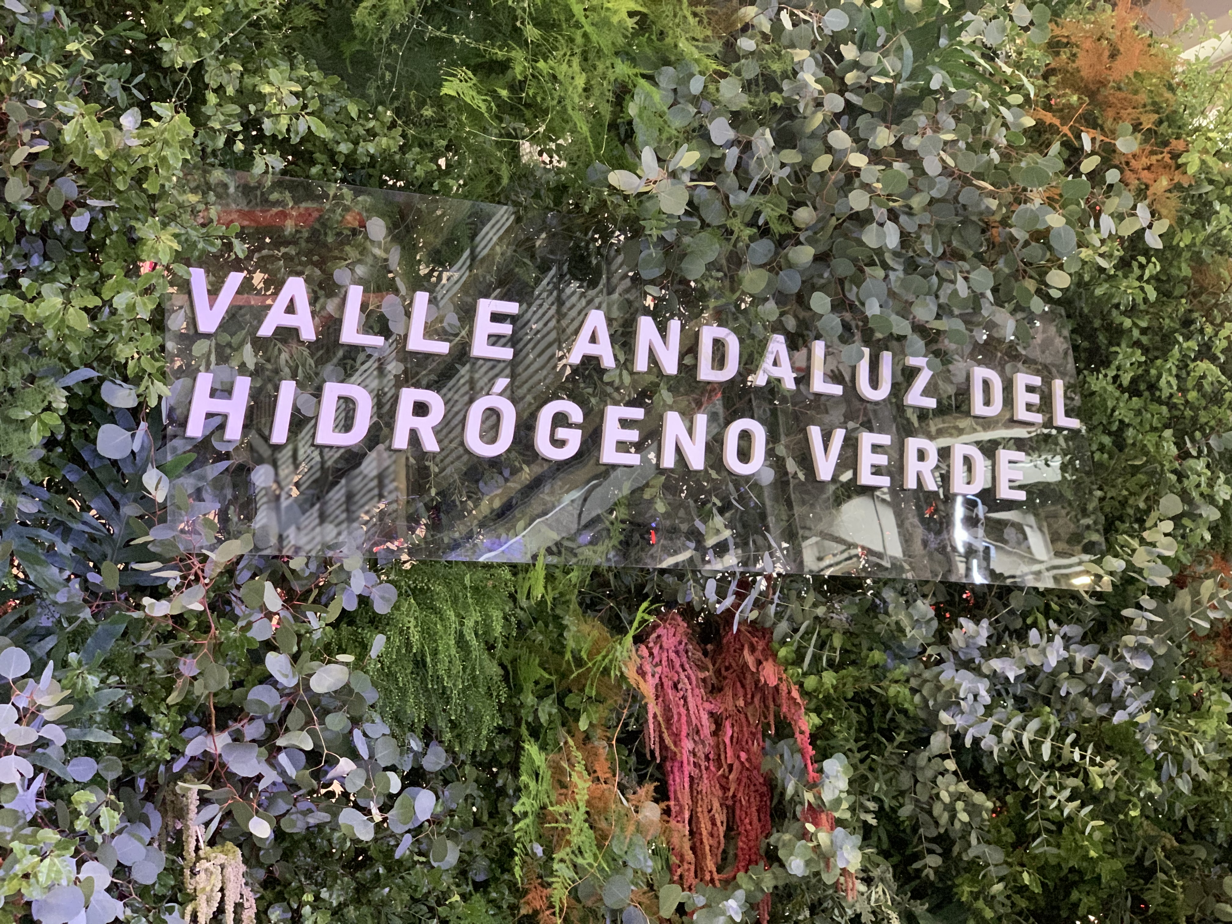 Hidrógeno Cepsa Hidrógeno Cepsa