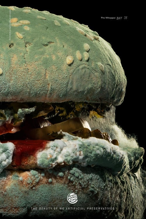 MOLDY WHOOPER2 MOLDY WHOOPER2
