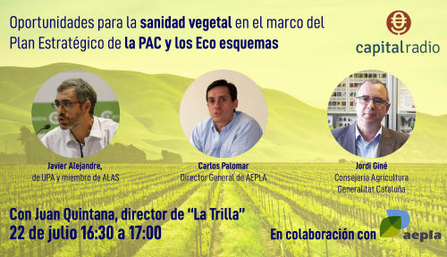 WEBINAR AEPLA WEB ok 01 WEBINAR AEPLA WEB ok 01