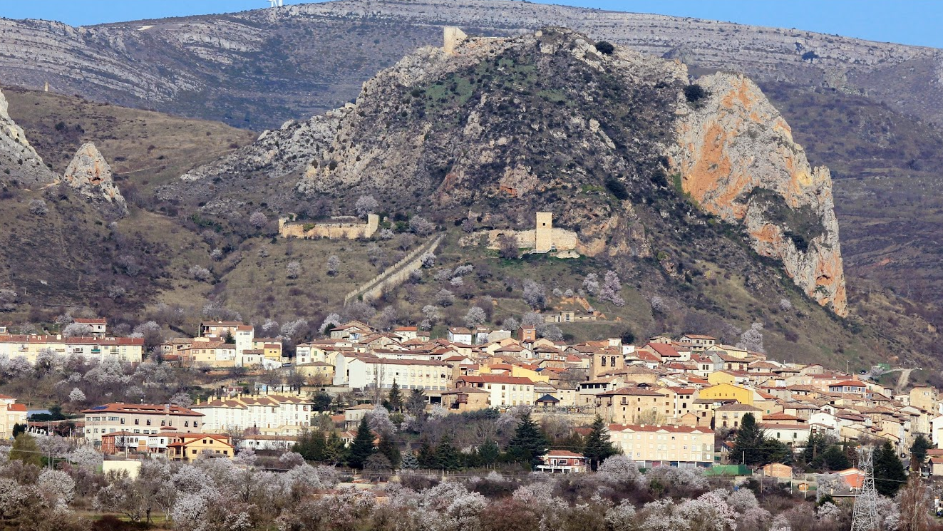 Foto general de Poza Foto general de Poza