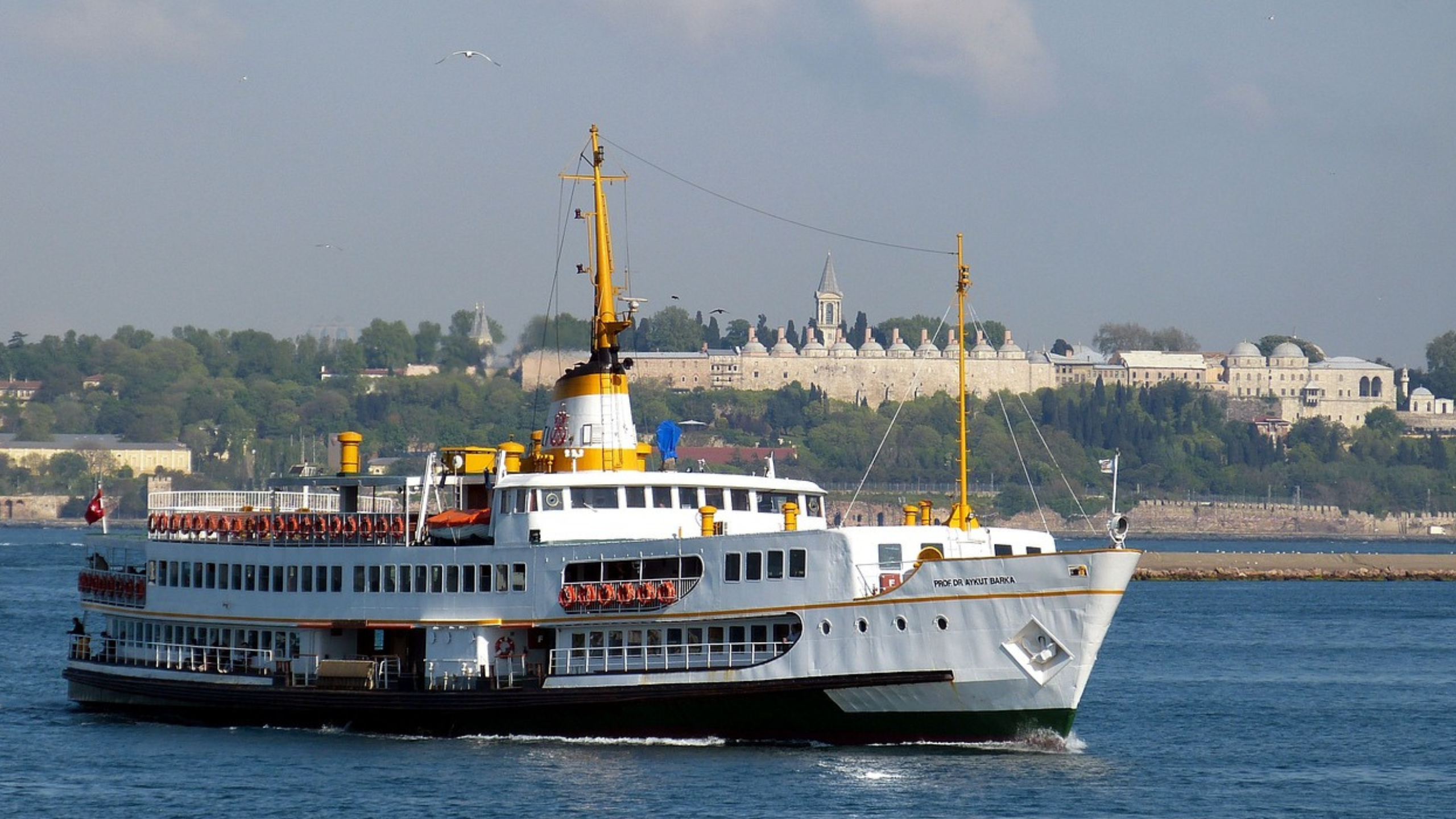 Diseño sin título (79) Diseño sin título (79)