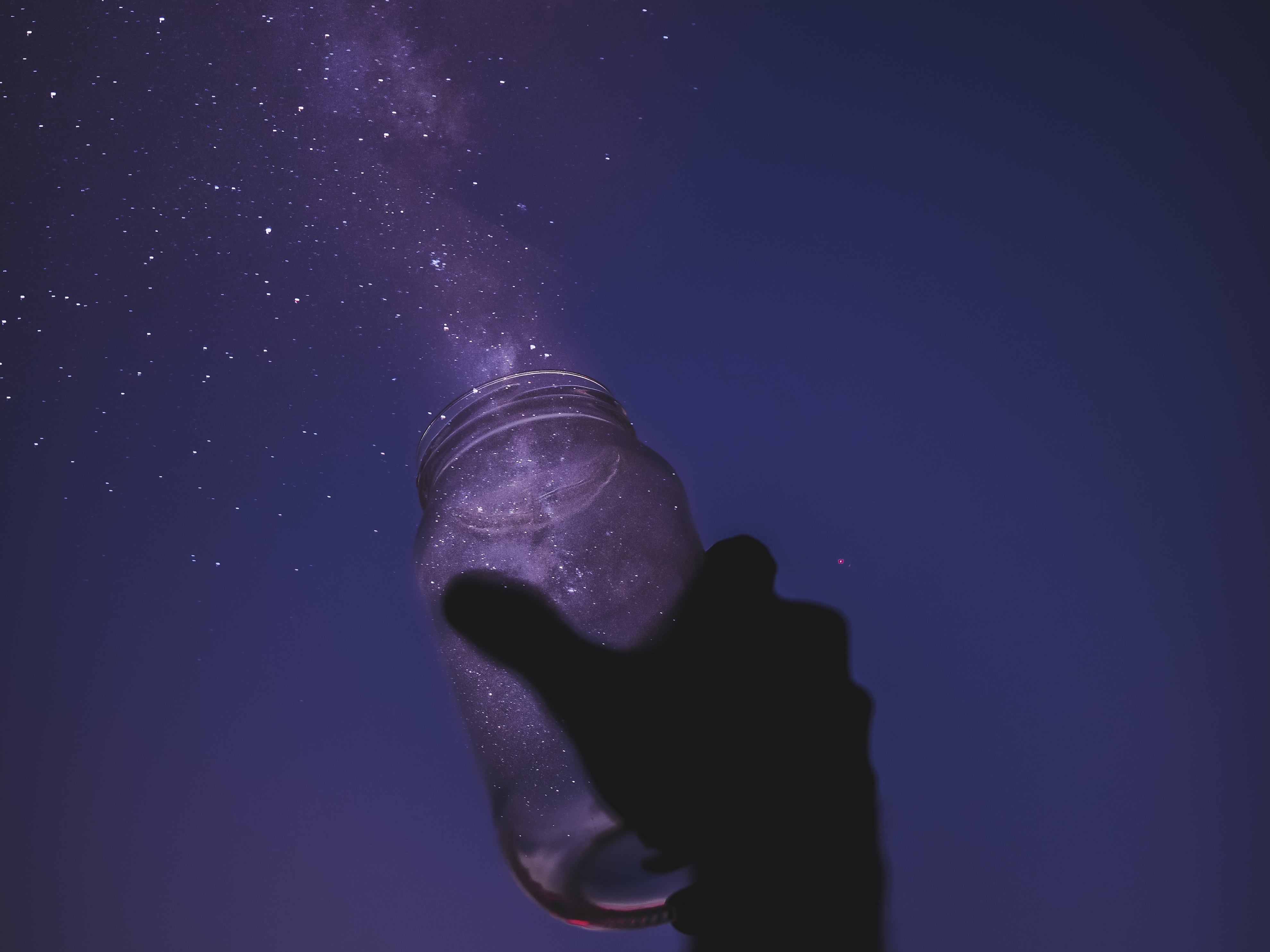 Mercado, espejismo Photo by Javardh on Unsplash Mercado, espejismo Photo by Javardh on Unsplash