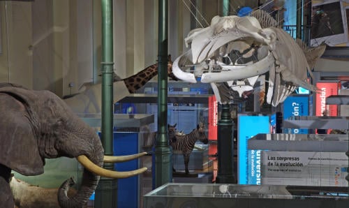 Museo Nacional de Ciencias Naturales Museo Nacional de Ciencias Naturales