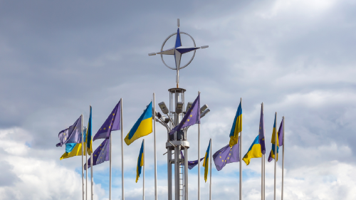 Tamaño foto web (48) Tamaño foto web (48)