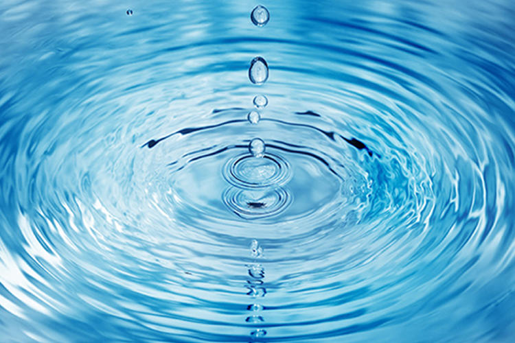El valor del agua