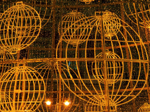 Lotería de Navidad Lotería de Navidad