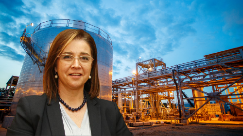 Nuria González Rabanal, directora de la Cátedra de Seguridad y Defensa de la Universidad de León. Miembro del Foro Industria y Energía. Nuria González Rabanal, directora de la Cátedra de Seguridad y Defensa de la Universidad de León. Miembro del Foro Industria y Energía.