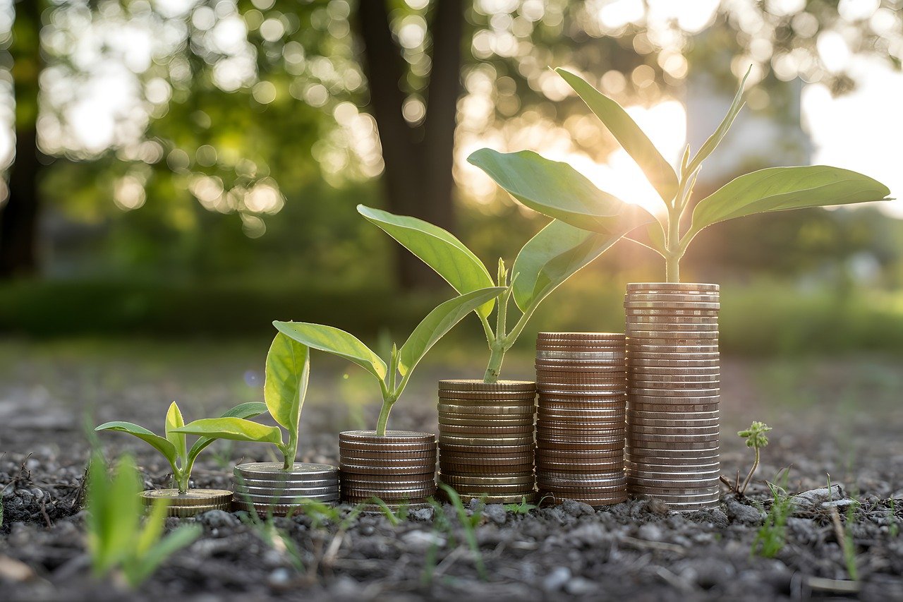 printablue nature growth 10005230_1280