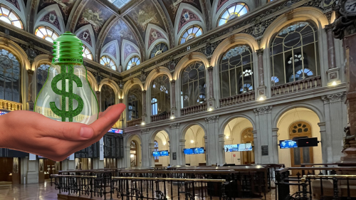 bolsa sostenible bolsa sostenible