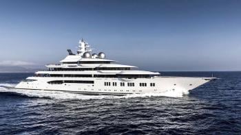 amadea amadea