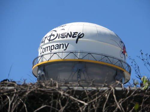 Disney company Disney company