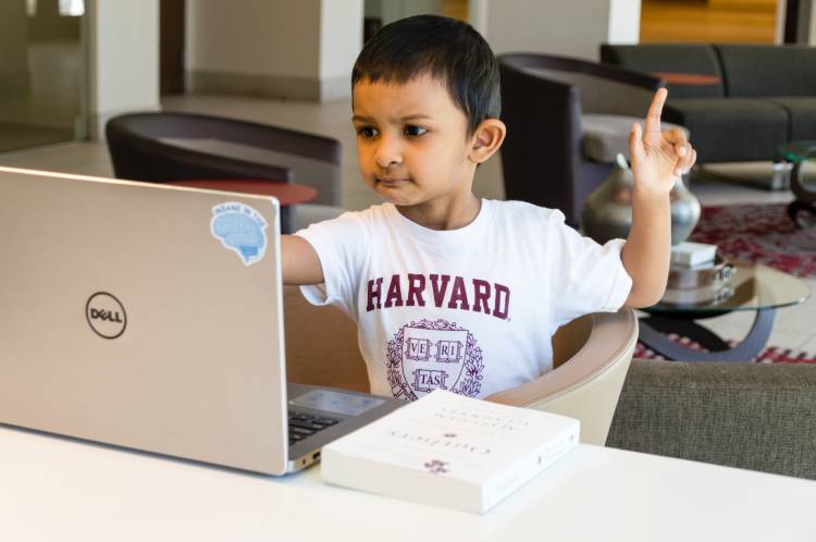 Harvard Photo by Rohit Farmer on Unsplash Harvard Photo by Rohit Farmer on Unsplash