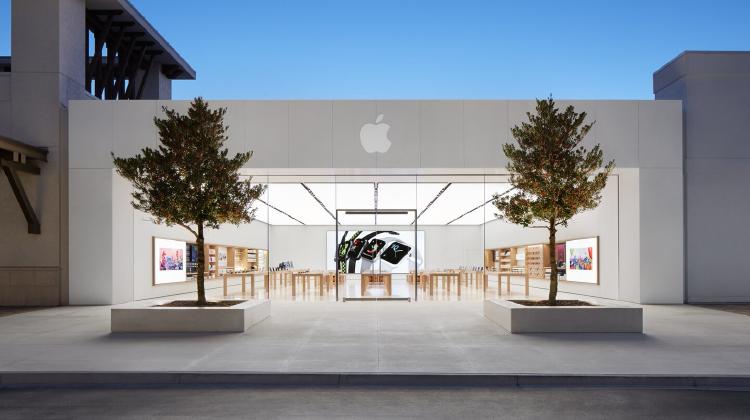 Apple Apple