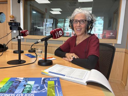 ondas del viento ondas del viento