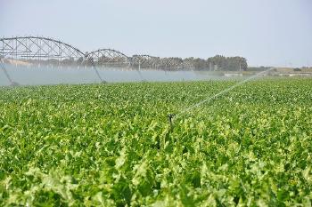 2021060712313489587 2021060712313489587