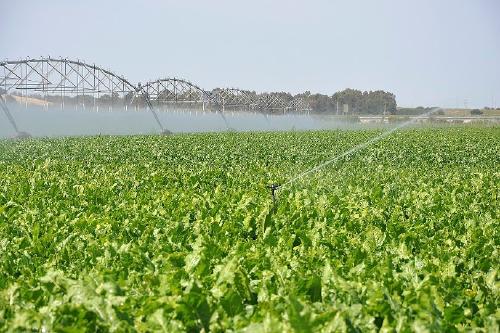 2021060712313489587 2021060712313489587