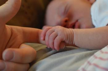 hijos bebé hijos bebé