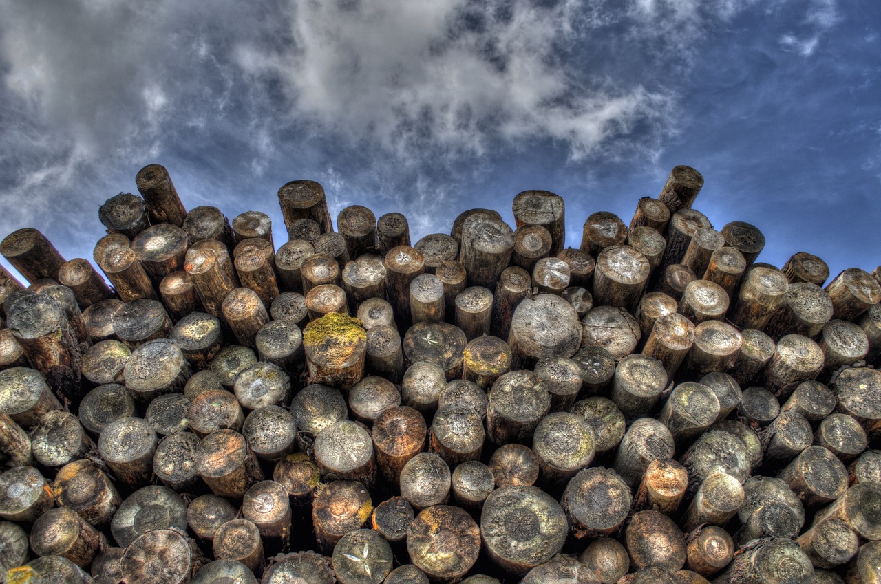 logs 498538_1280