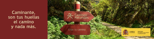 banner estatico horizontal alta Caminos Naturales banner estatico horizontal alta Caminos Naturales