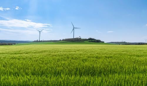 ondas del viento ondas del viento